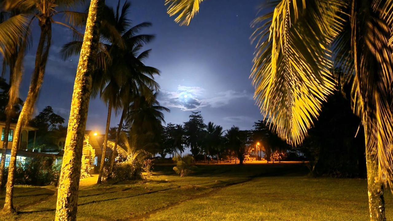 Wildlife Art Tortuguero Hotel Esterno foto