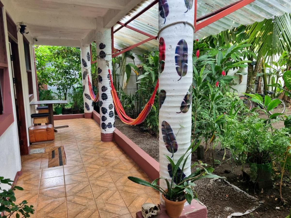 Wildlife Art Tortuguero Hotel Esterno foto