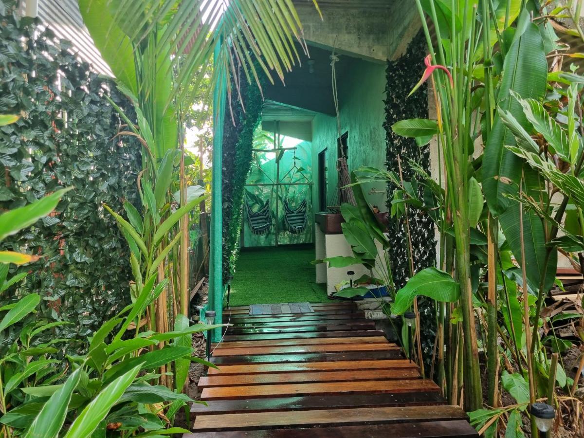Wildlife Art Tortuguero Hotel Esterno foto