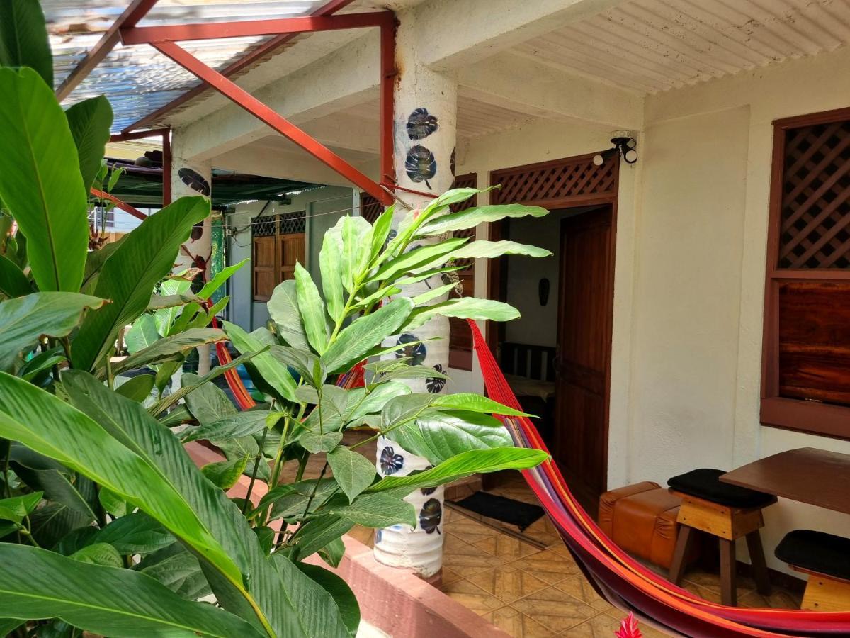 Wildlife Art Tortuguero Hotel Esterno foto