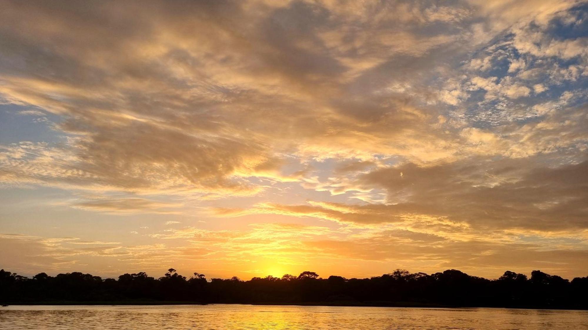 Wildlife Art Tortuguero Hotel Esterno foto