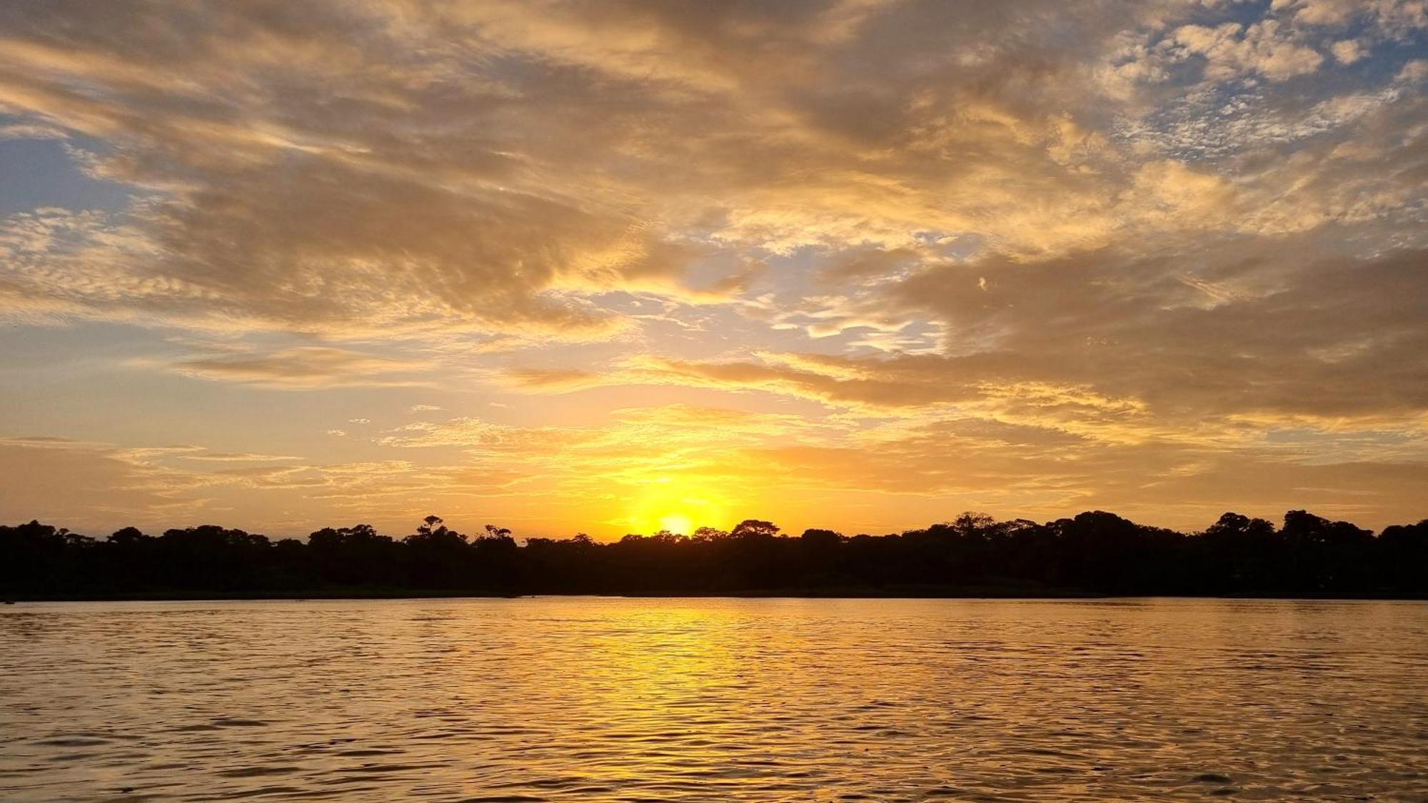 Wildlife Art Tortuguero Hotel Esterno foto
