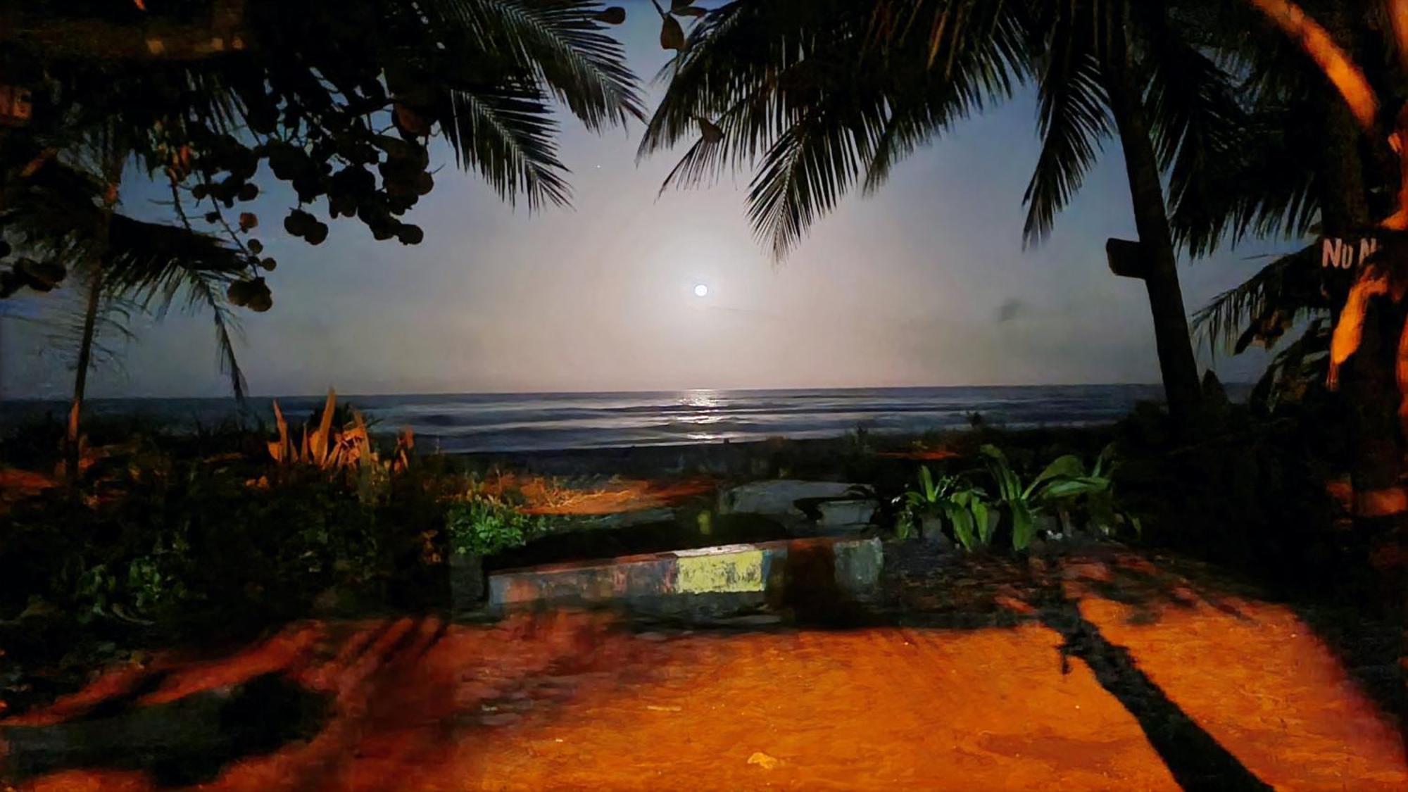 Wildlife Art Tortuguero Hotel Esterno foto