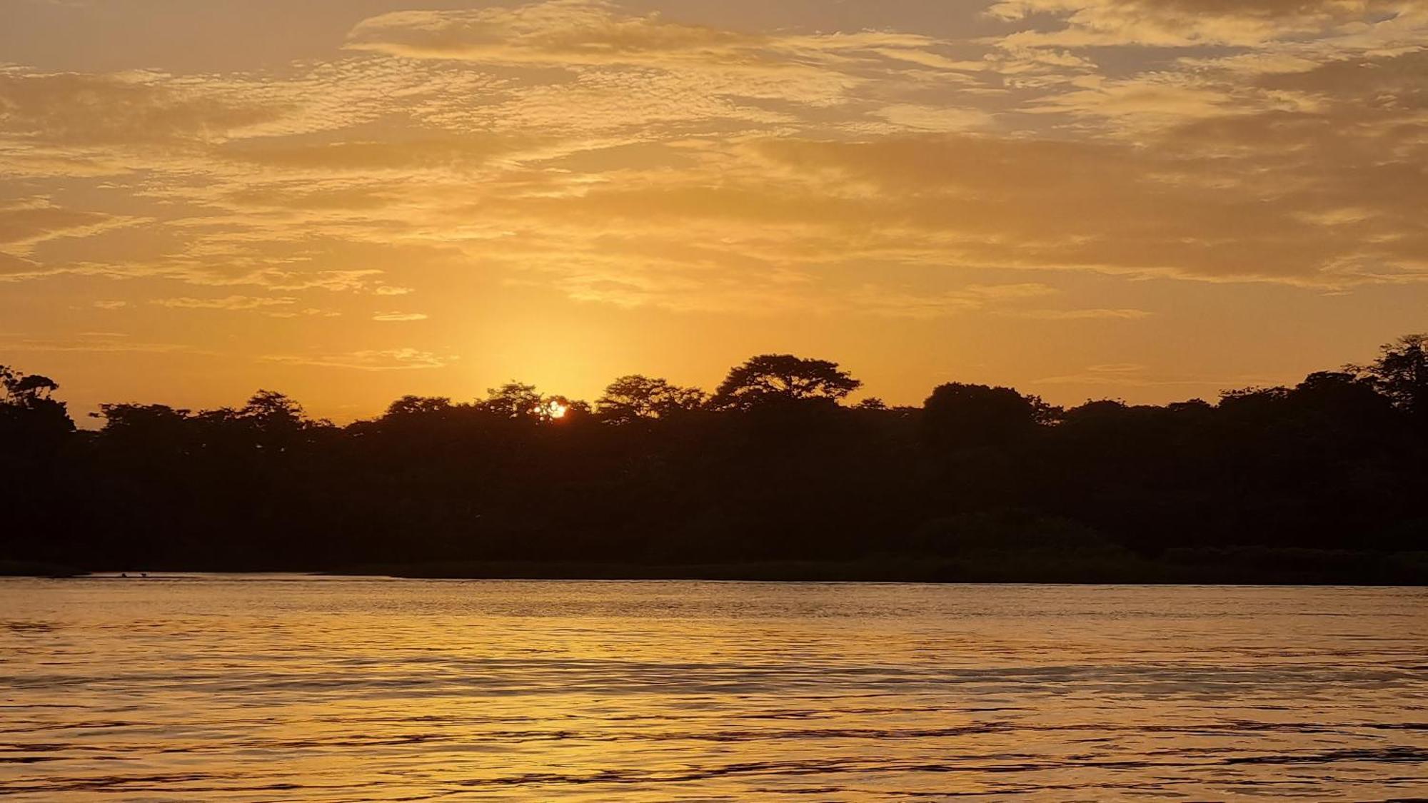 Wildlife Art Tortuguero Hotel Esterno foto