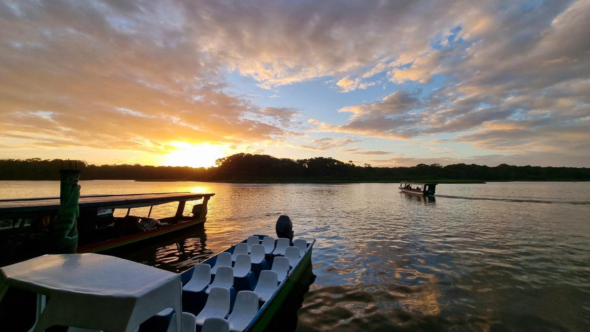 Wildlife Art Tortuguero Hotel Esterno foto