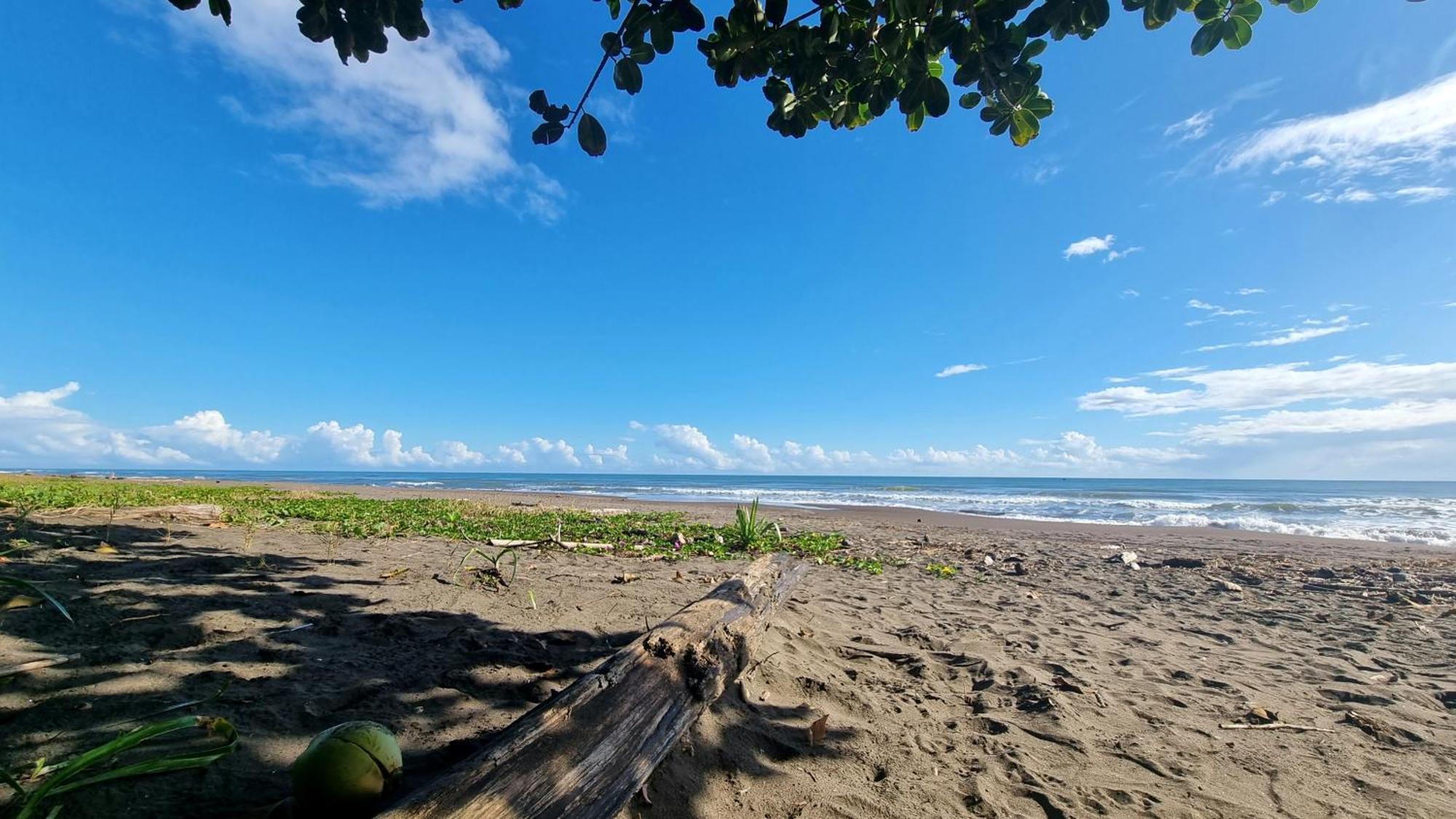 Wildlife Art Tortuguero Hotel Esterno foto