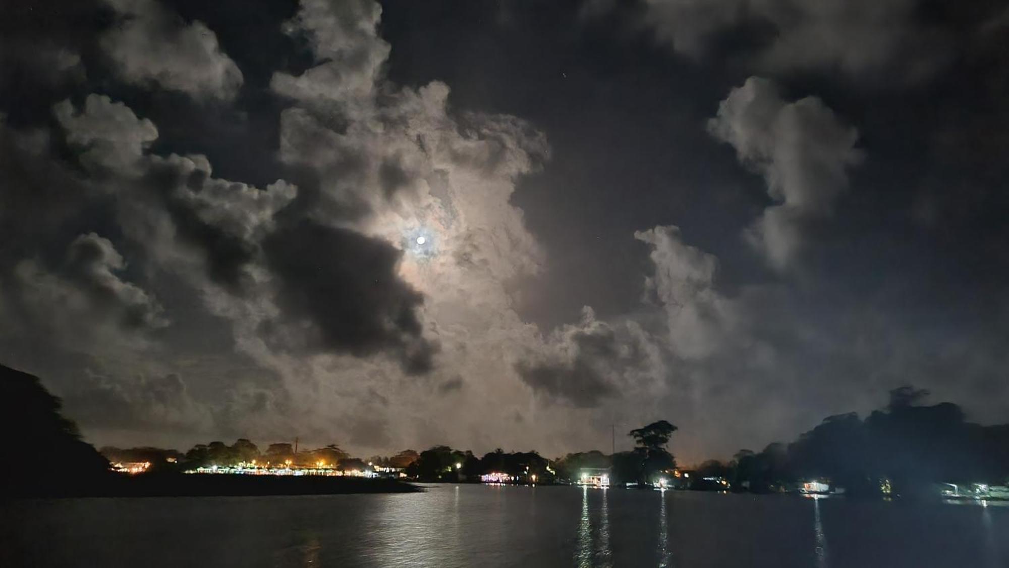 Wildlife Art Tortuguero Hotel Esterno foto