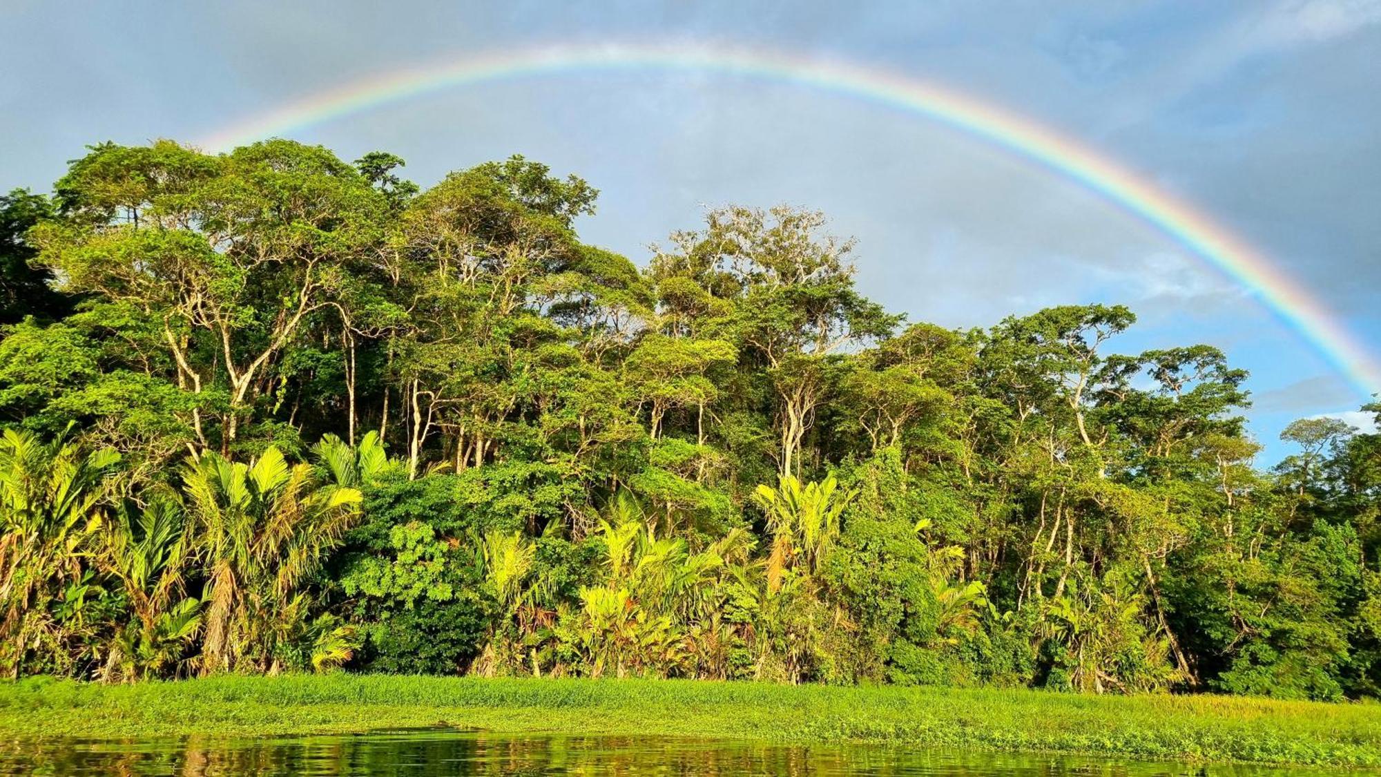 Wildlife Art Tortuguero Hotel Esterno foto